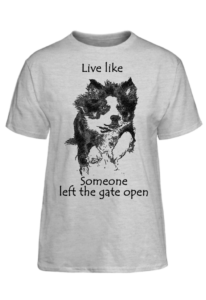 live-border_collie