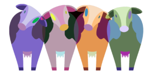 cows alternate design